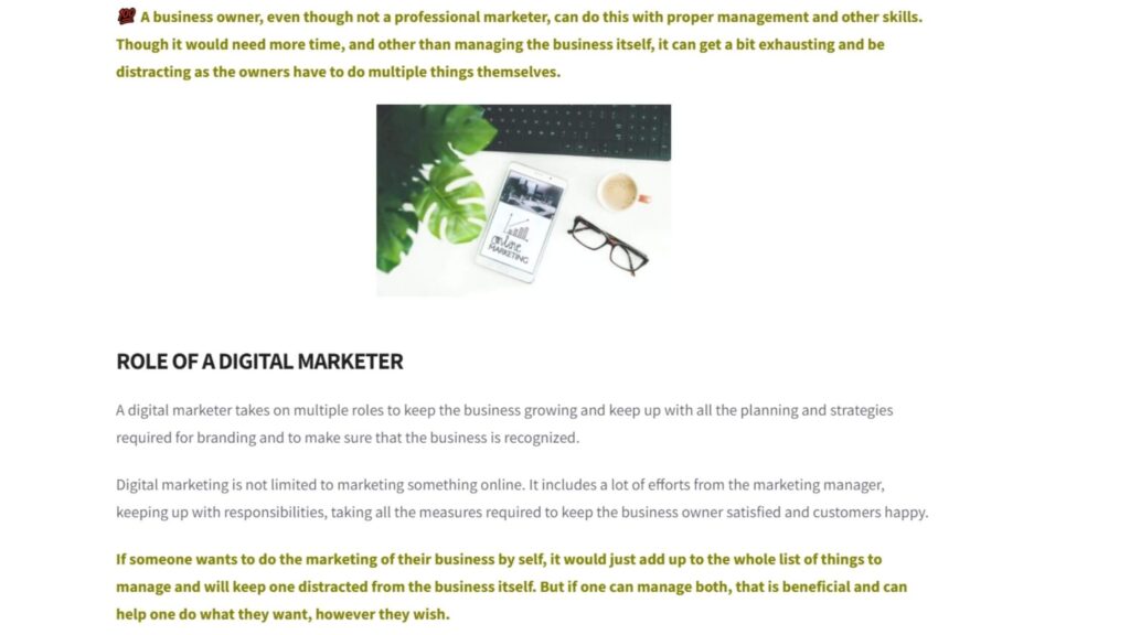 Digital marketing: professional help vs self marketing?