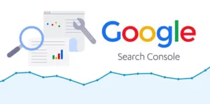 Google Search Console_result